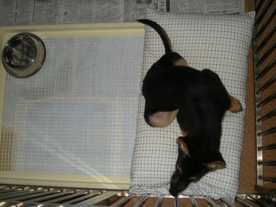 DSCN0647.JPG