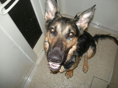 DSCN0670.JPG