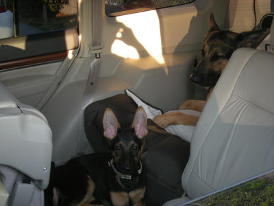 DSCN0676.JPG