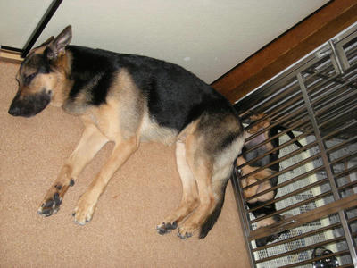 DSCN0672.JPG