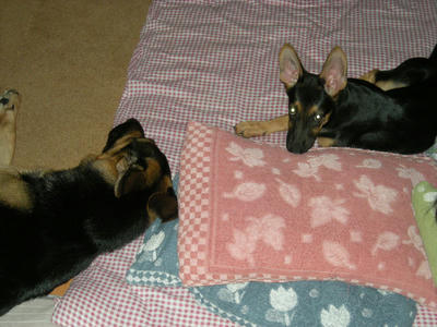 DSCN0688.JPG