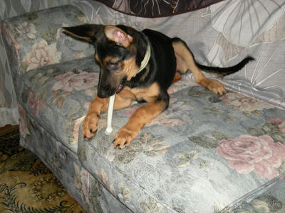 DSCN0693.JPG
