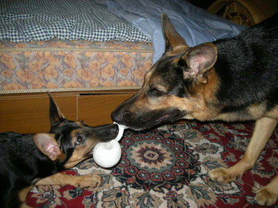 DSCN0737.JPG