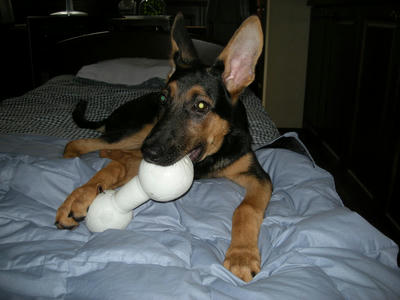 DSCN0741.JPG