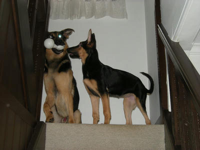 DSCN0734.JPG