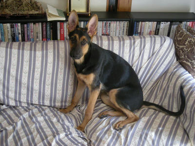 DSCN0768.JPG