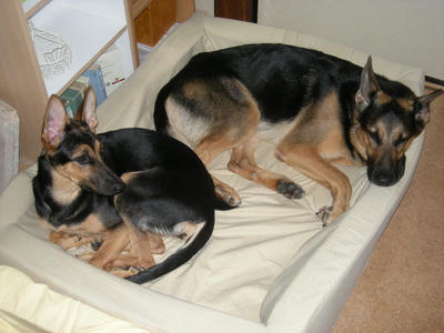 DSCN0771.JPG