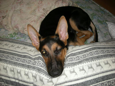 DSCN0760.JPG