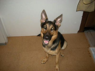 DSCN0775.JPG