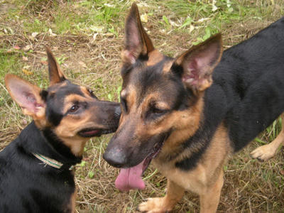 DSCN0779.JPG
