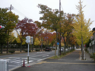 DSCN0780.JPG