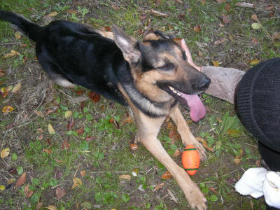 DSCN0833.JPG