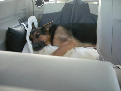 DSCN0913.JPG