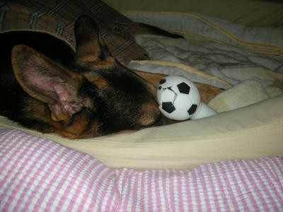 DSCN0917.JPG