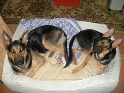 DSCN0920.JPG
