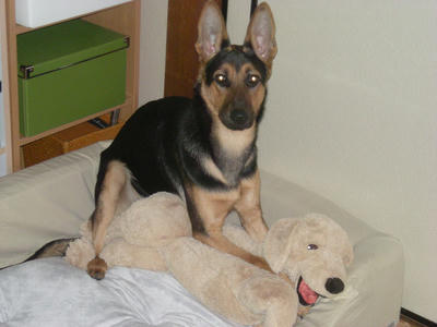DSCN0921.JPG