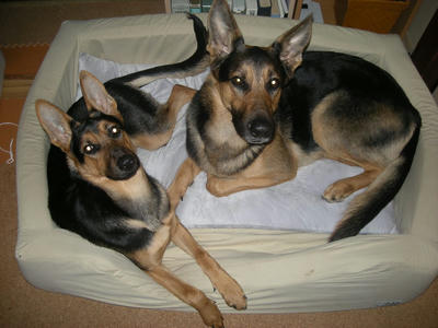 DSCN0928.JPG