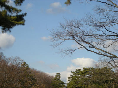 DSCN0943.JPG