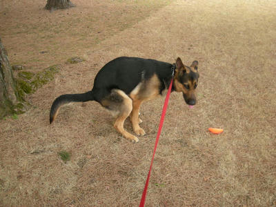 DSCN0937.JPG