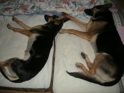 DSCN0931.JPG
