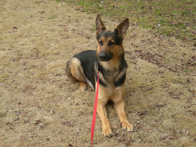 DSCN0936.JPG
