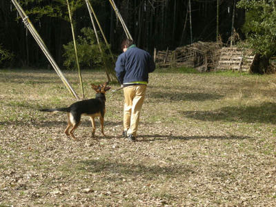 DSCN0970.JPG