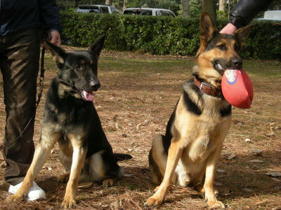 DSCN0989.JPG