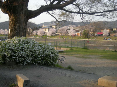DSCN0309.JPG