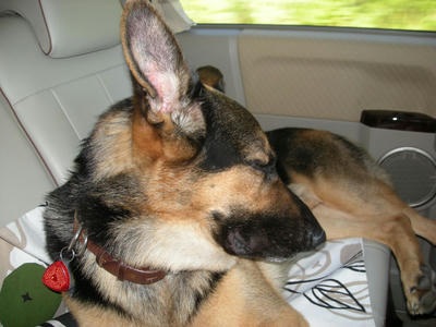 DSCN1024.JPG