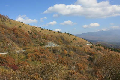 IMG_0666.jpg