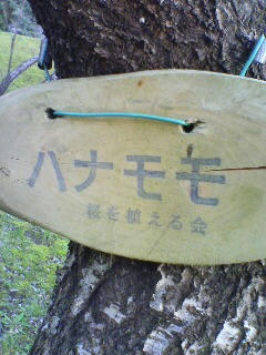 花百を推奨しています。