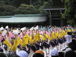 honiya2.JPG
