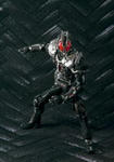 【東映ヒーローネット限定】SIC 仮面ライダーファイズ  アクセスフォーム