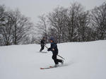 DSC01336.JPG