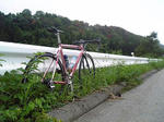 080824_kashinaga.JPG