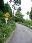 080920_03.JPG