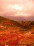 090927_03.JPG