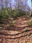 091031_02.JPG