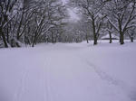 110109_04.JPG
