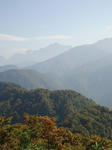 111010_TSURUGI.JPG