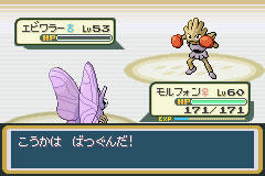 ポケモン とりあえず四天王 Fr ゲーム ワイルドハーツ海賊団