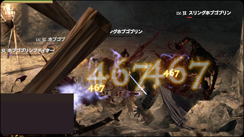 せっせとファイタージョブ修練 Ddon ワイルドハーツ海賊団