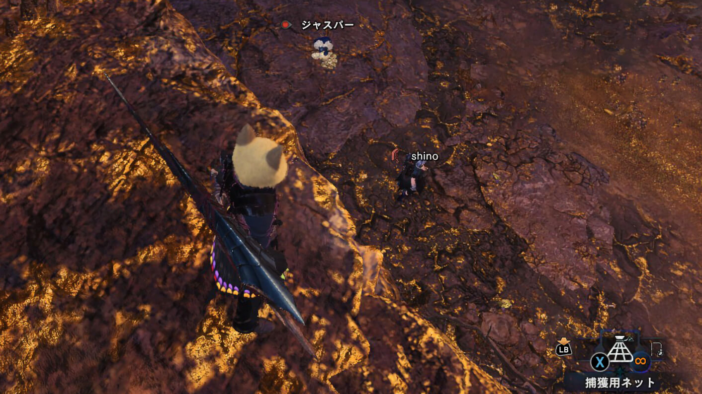 身内と二人で平日マムタロト Mhw ワイルドハーツ海賊団