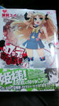 20100226202032.jpg