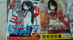 20100423191503.jpg