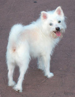 20060728_1copymini.jpg