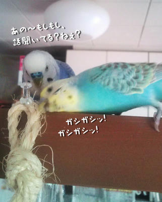 F1000449_mojiari.jpg