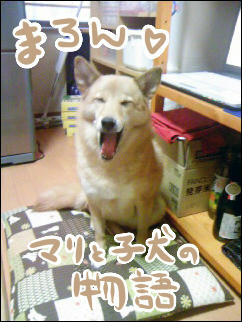 まろん
