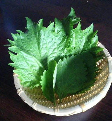 syukaku0517.JPG