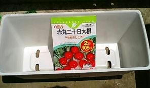 20kadaikon0522_0.jpg
